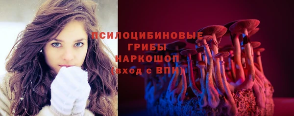 индика Новокубанск