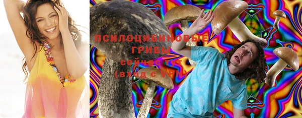 a pvp Аркадак